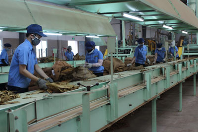 Sẽ tiến hành ở 13 đơn vị