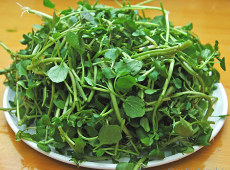 Công dụng trị bệnh của rau cải soong