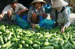 EU - Việt Nam tiến tới kết thúc đàm phán FTA vào năm 2014