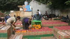 Cam Trung Quốc thông quan ở cửa khẩu Hà Khẩu (Lào Cai).