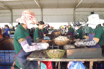 Thưởng Tết cao nhất 86 triệu đồng, thấp nhất 50 ngàn đồng/người