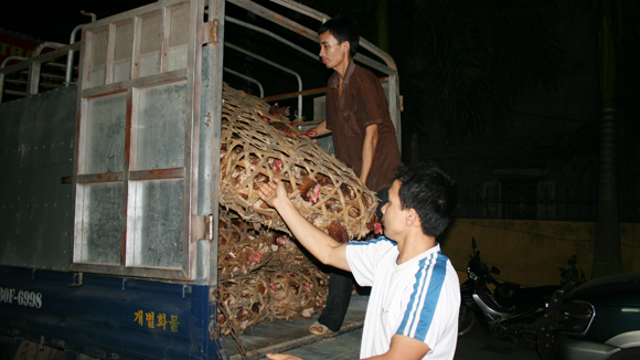 Ảnh minh họa.