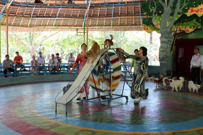 Một trò chơi tại Hòn Lao - địa điểm du lịch hấp dẫn thuộc Tổng Công ty Khánh Việt.