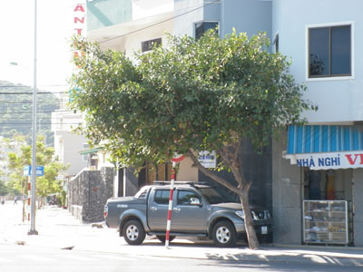 Biển báo bị che khuất