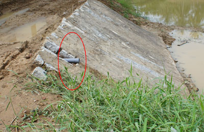 Sao để như vậy?