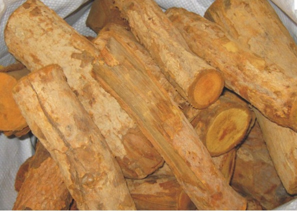 Tác dụng của cây mật gấu