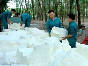 VIB: Vay IFC 80 triệu USD để tài trợ cho doanh nghiệp vừa và nhỏ