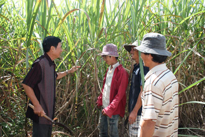 Một thương binh vượt khó, làm giàu