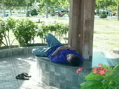 Hình ảnh chưa đẹp