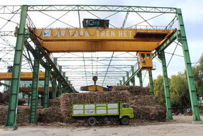 Nhập mía nguyên liệu vào Nhà máy Đường Ninh Hòa.