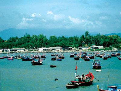 Những khoang tàu vơi dần tôm, cá…