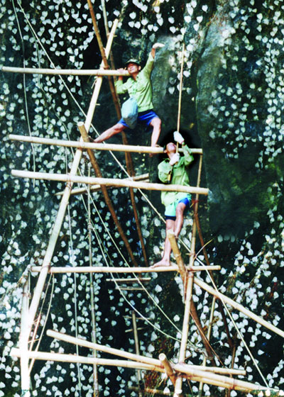 Góp phần tích cực vào sự phát triển kinh tế - xã hội của tỉnh