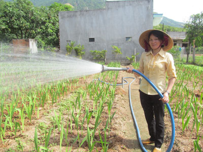 Phập phồng mùa hoa Tết