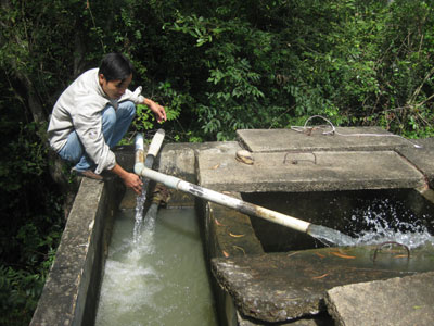 Người dân khát nước sinh hoạt