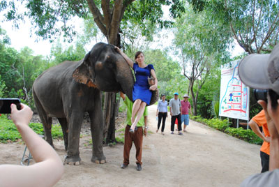 Cưỡi voi ở Suối Hoa Lan.