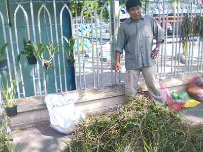 Nguy cơ cạn kiệt lan rừng