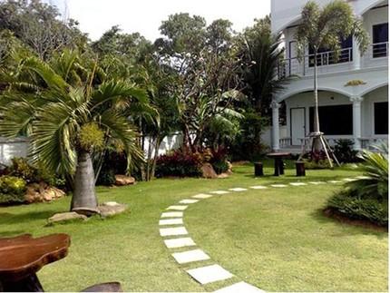 Không nên lát đá cả sân vườn