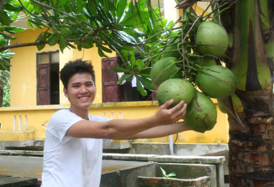 Để Trường Sa thêm xanh