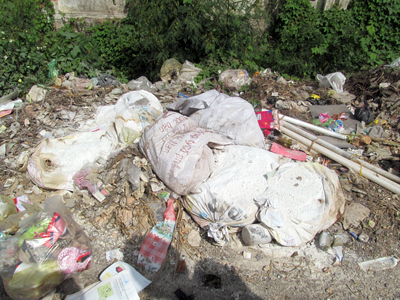 Xã Diên Phước (Diên Khánh): Xác gà chết gây ô nhiễm môi trường