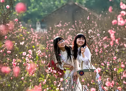 Thời tiết 3 miền dịp Tết Quý Tỵ