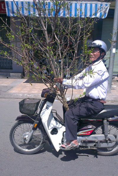 Người dân chở xuân về nhà.