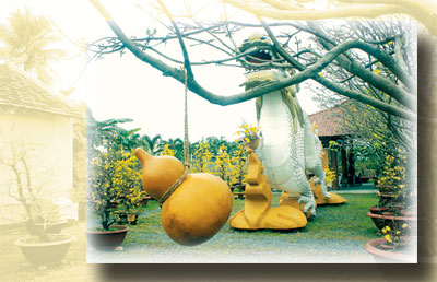 Tìm xuân trên những gốc mai