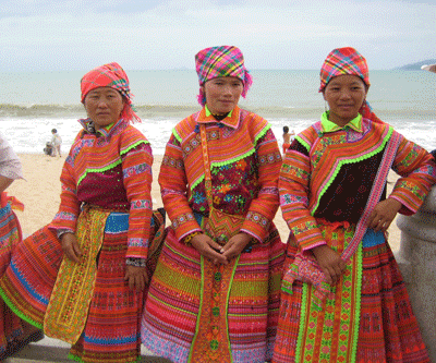 Những “đóa hoa rừng” du xuân phố biển