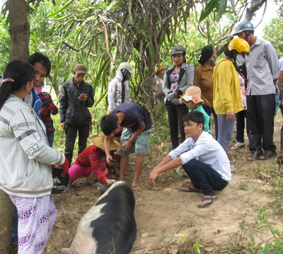 Tin đồn thất thiệt
