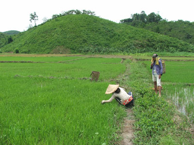 Nhiều hộ dân không muốn thoát nghèo