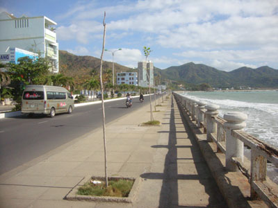 Nên thay thế cây trồng khác