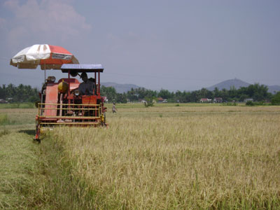 Đã có mô hình đầu tư