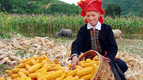Các hộ nghèo, cận nghèo được tiếp cận nhiều chính sách ưu đãi của Nhà nước (ảnh: báo Lào Cai)