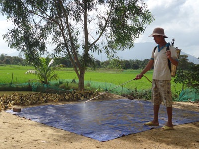 Khẩn trương đối phó với dịch cúm gia cầm