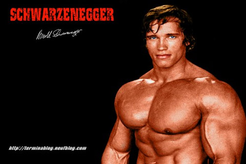Người hùng cơ bắp Arnold Schwarzenegger sẽ trở lại với thể hình