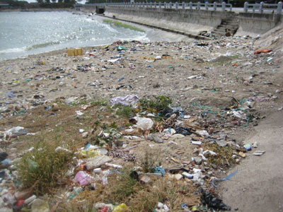 Cần dọn rác khu vực cảng cá