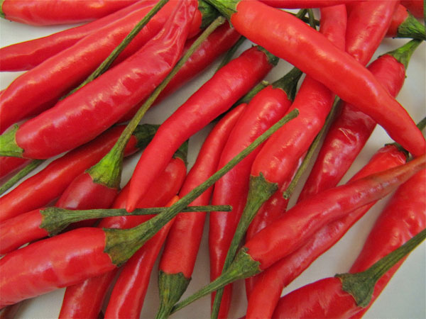 Chất capsaicin trong ớt có thể giúp người béo phì giảm cân.