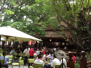 Cafe Yasaka được yêu thích nhờ không gian sân vườn rộng rãi.