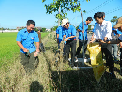 Đoàn viên, thanh niên tham gia vệ sinh môi trường, phát quang bụi rậm.