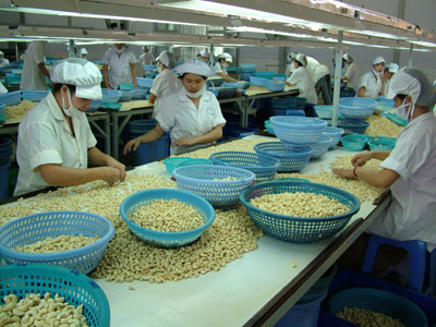 Năm 2013, toàn tỉnh phấn đấu kim ngạch xuất khẩu (KNXK) đạt 800 triệu USD. Chỉ tiêu này đòi hỏi các doanh nghiệp (DN) tham gia xuất khẩu (XK) phải nỗ lực hơn nữa trong bối cảnh kinh tế khu vực và thế giới còn nhiều biến động.