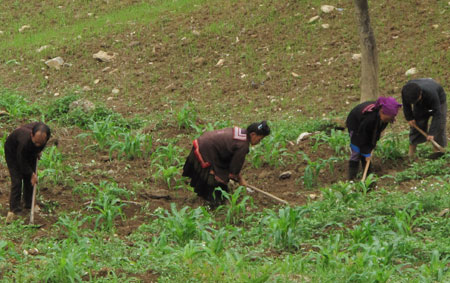 Thủ tướng phê duyệt Chiến lược công tác dân tộc