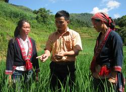Chỉ đạo, điều hành của Chính phủ, Thủ tướng Chính phủ nổi bật trong tuần