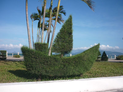 “Những tác phẩm nghệ thuật” từ cây xanh