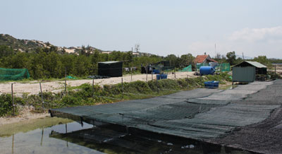 Hiện nay, phần mặt tiền của khu rừng ngập mặn Tuần Lễ đã bị người dân lấn chiếm đào ao, đìa nuôi tôm.