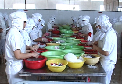 Chế biến tôm xuất khẩu tại Công ty Cổ phần Nha Trang Seafoods. 
