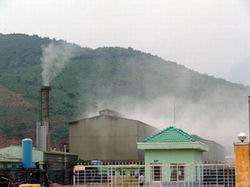 Chỉ đạo, điều hành của Chính phủ, Thủ tướng Chính phủ nổi bật trong tuần