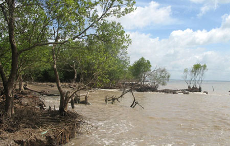 Việt Nam được hỗ trợ để thích ứng biến đổi khí hậu