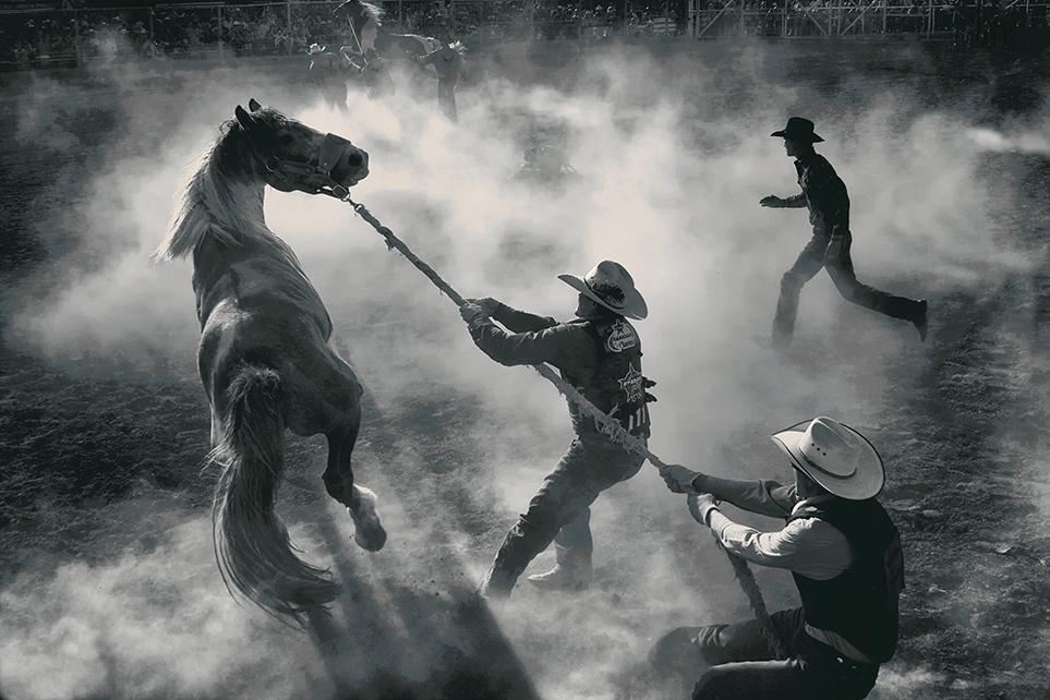 Những anh chàng cao bồi ở Miles City, Montana, tháng 5-2012. (tác giả: George Burgin, Mỹ).