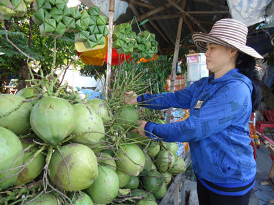 Xây dựng thương hiệu cho dừa Ninh Đa
