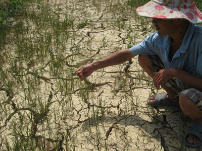 Xã Sơn Lâm lay lắt chờ mưa