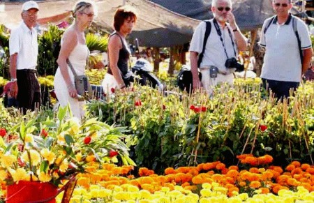 Hàng không và Du lịch cụ thể hóa chương trình hợp tác